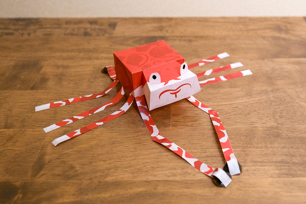 ずぼんぼ-三河の動物-タカアシガニ